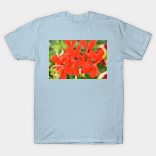 Ivy-leaved Pelargonium T-Shirt